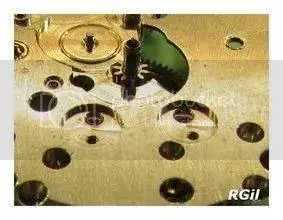 633-Rodania%20%2015_zpssncegzlw.webp