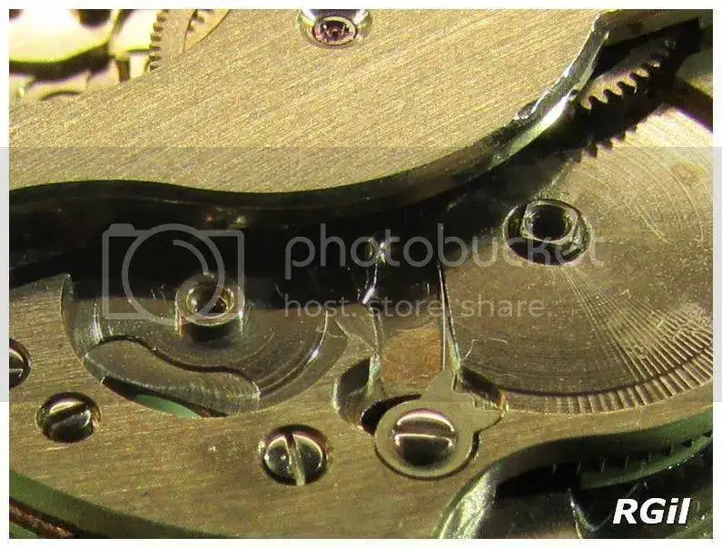 633-Rodania%20%2023_zpsswrfelou.webp
