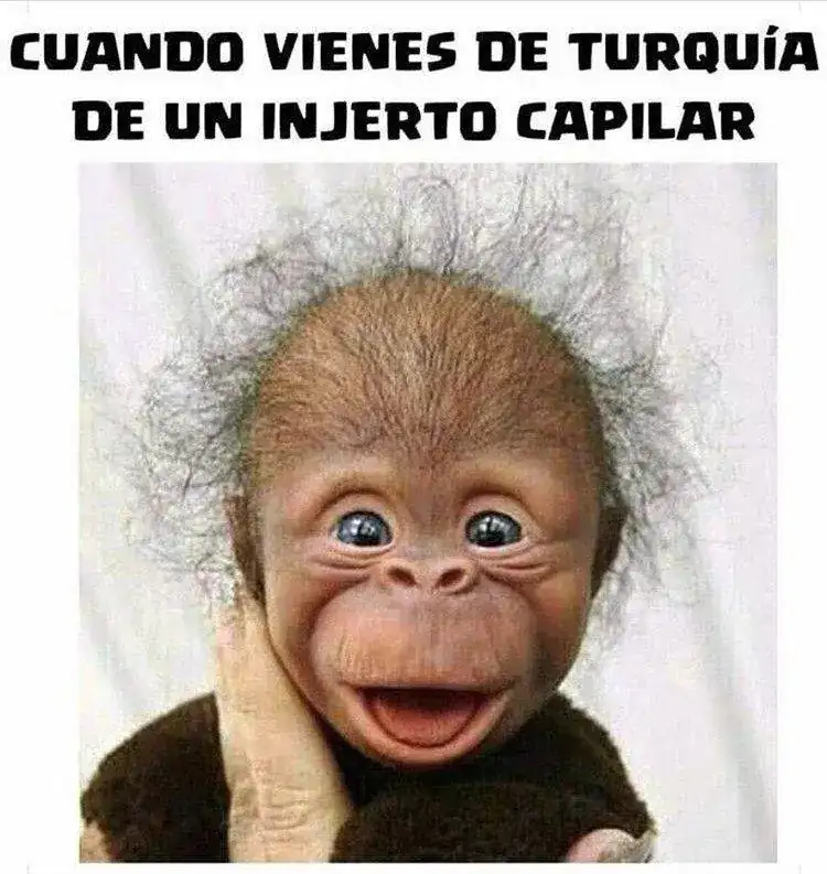650a26ca38e0cb8e64608fa13a854115.webp