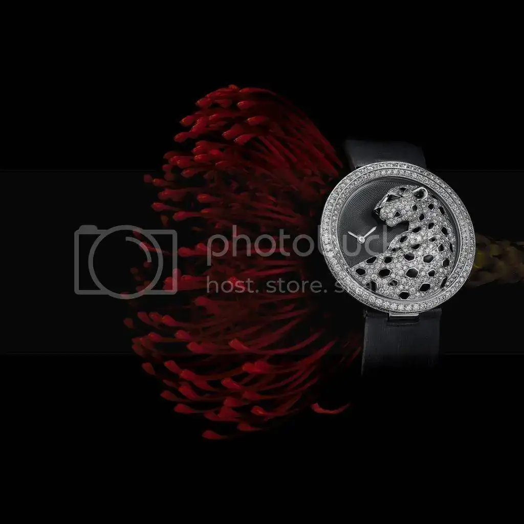 650C1F32-DC4D-407C-9A86-BB79FFF50B40_zpspdiiqnrb.webp