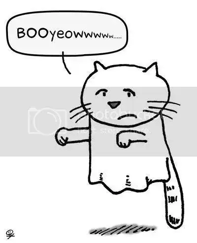 667976b7.webp