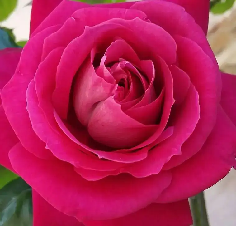 6749a4ec5584dfb679d8f1e05c7e8c51.webp