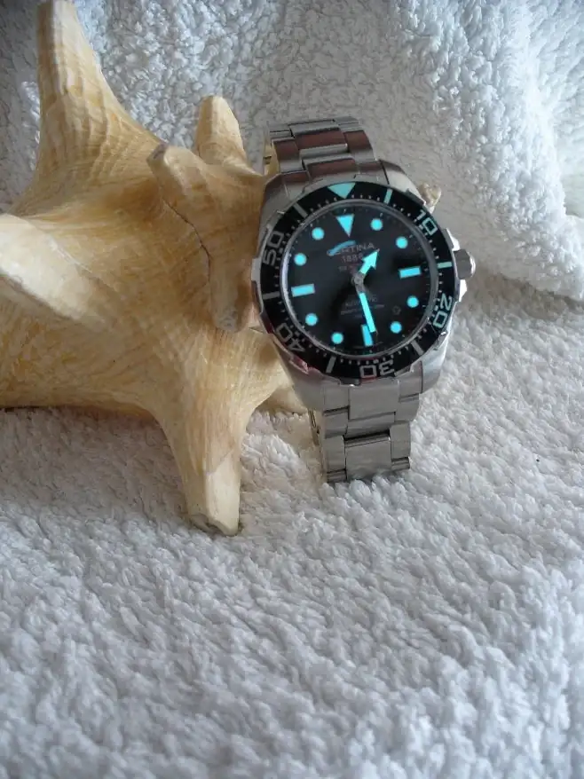678849d1334270395-certina-ds-action-diver-01.webp