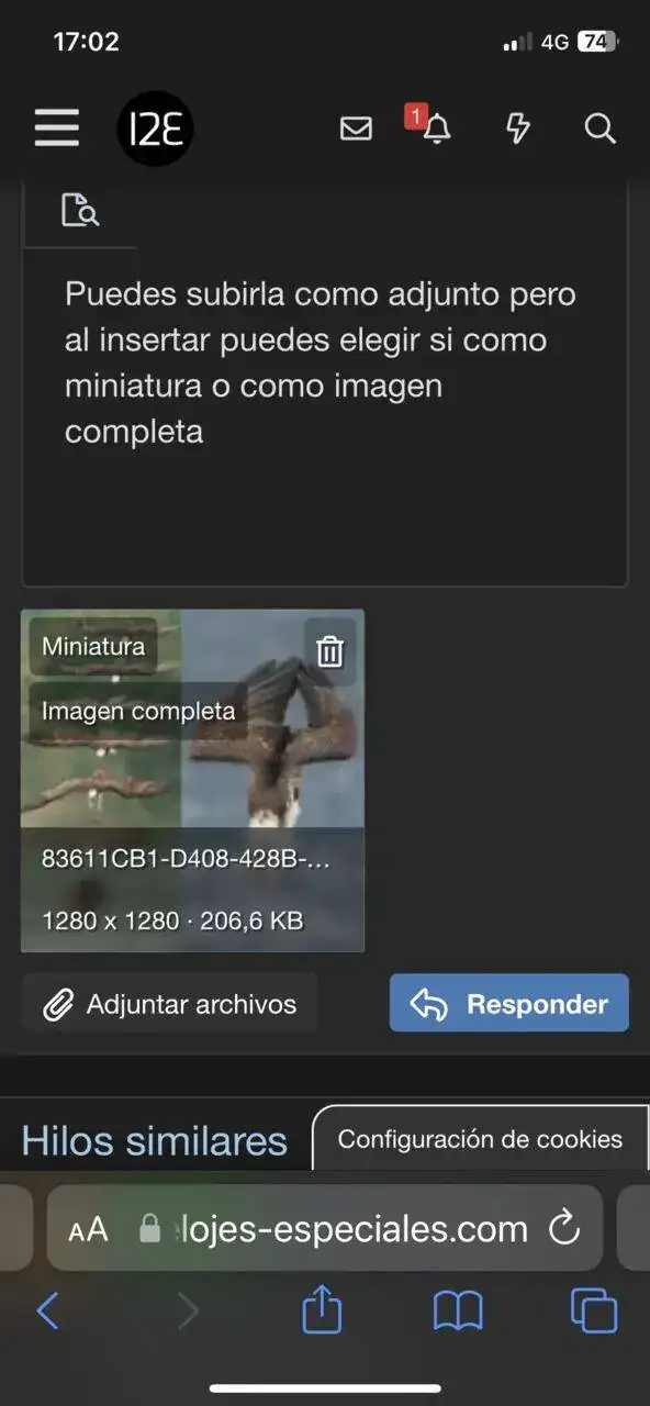 6820123B-43FC-4EE6-9908-A2D4BDAF4C94.webp