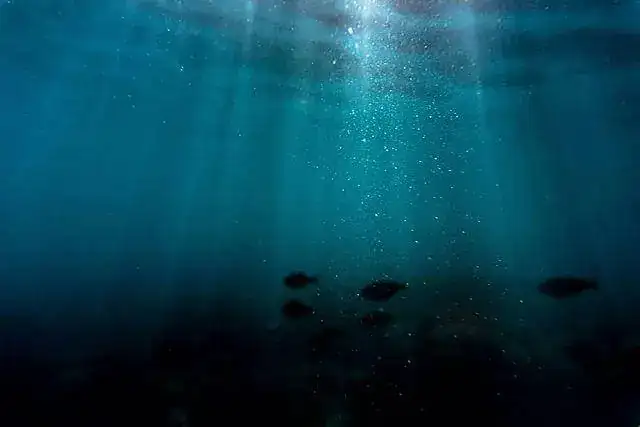 68677964_2951809781711644_3781731664839275196_n.jpg