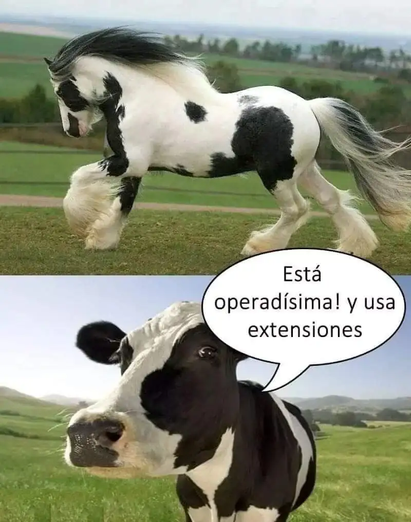 68695e0c67354778a3a4d7b0e484bb1f.webp