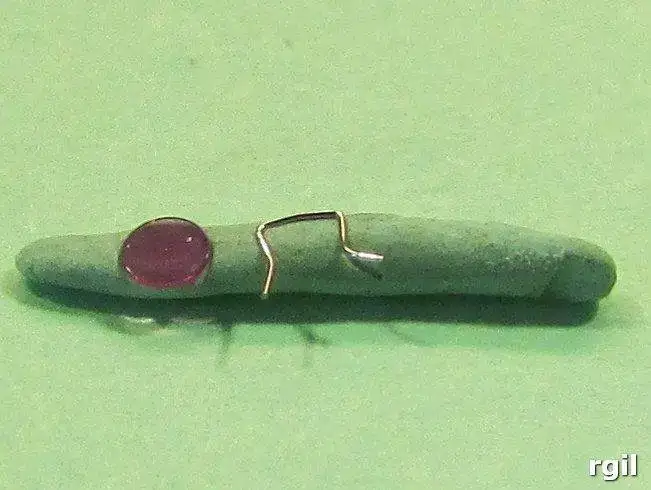 687-Mortima    (88).jpg