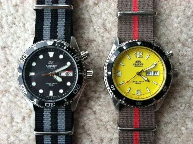 692994d1335568580-orient-mako-vs-ray-photo-5-.webp
