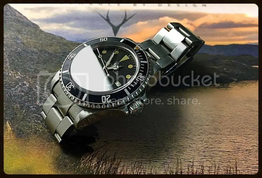 6990FBB0-2306-4F7A-AEAD-77ECA9405DE4_zps9sgrogqy.webp