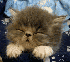 6ADE4BB5-85A3-4CCF-B7D7-79273ED31414_zpsfedjlcob.gif