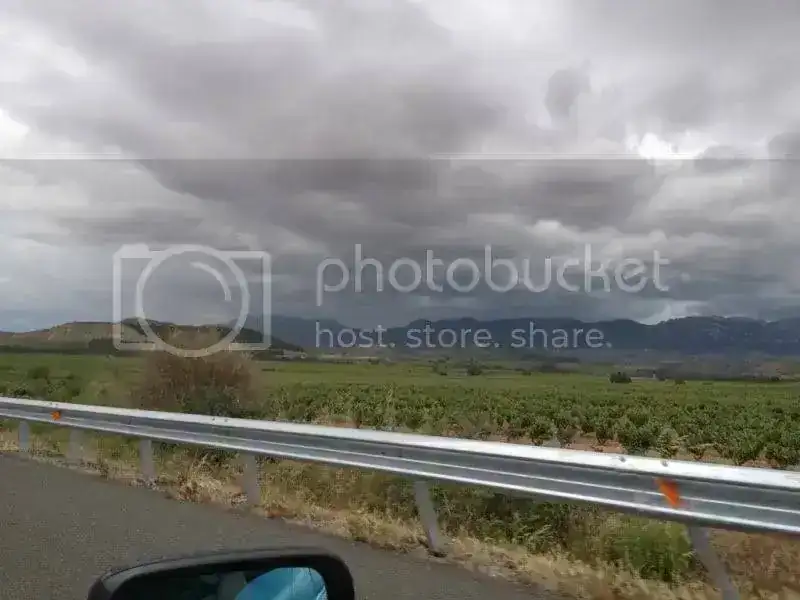 6d124069.webp