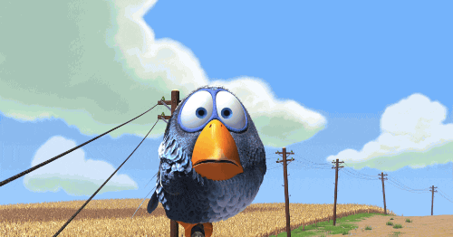 6E758418-C916-42FF-B568-FF66FB8DF7D7.gif