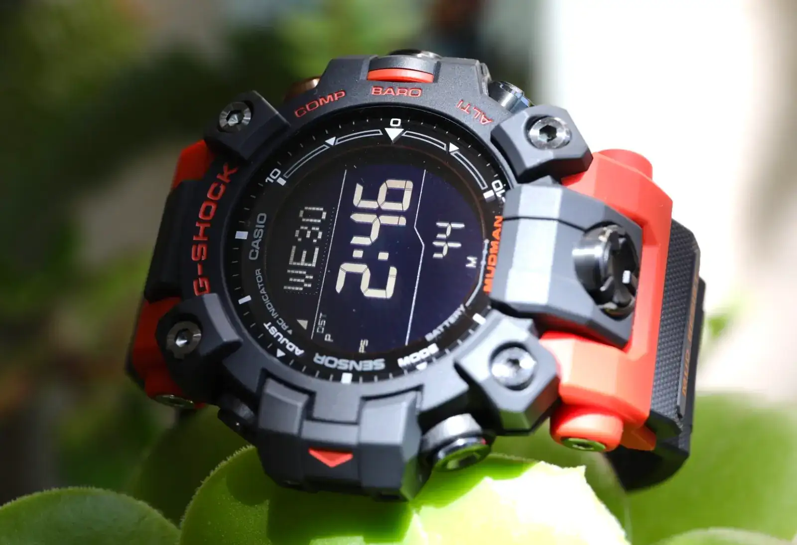 6F5A5758.webp