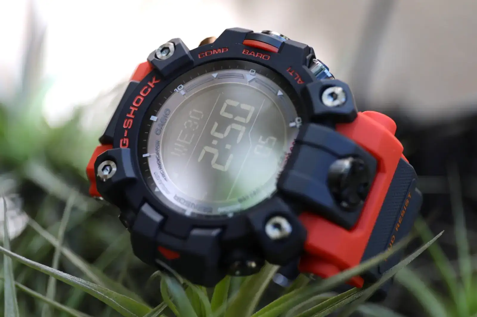 6F5A5761.webp