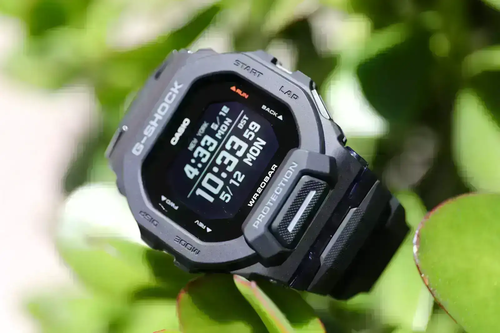 6F5A5795.webp