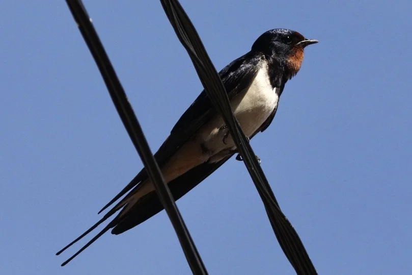 6F5A5933.webp
