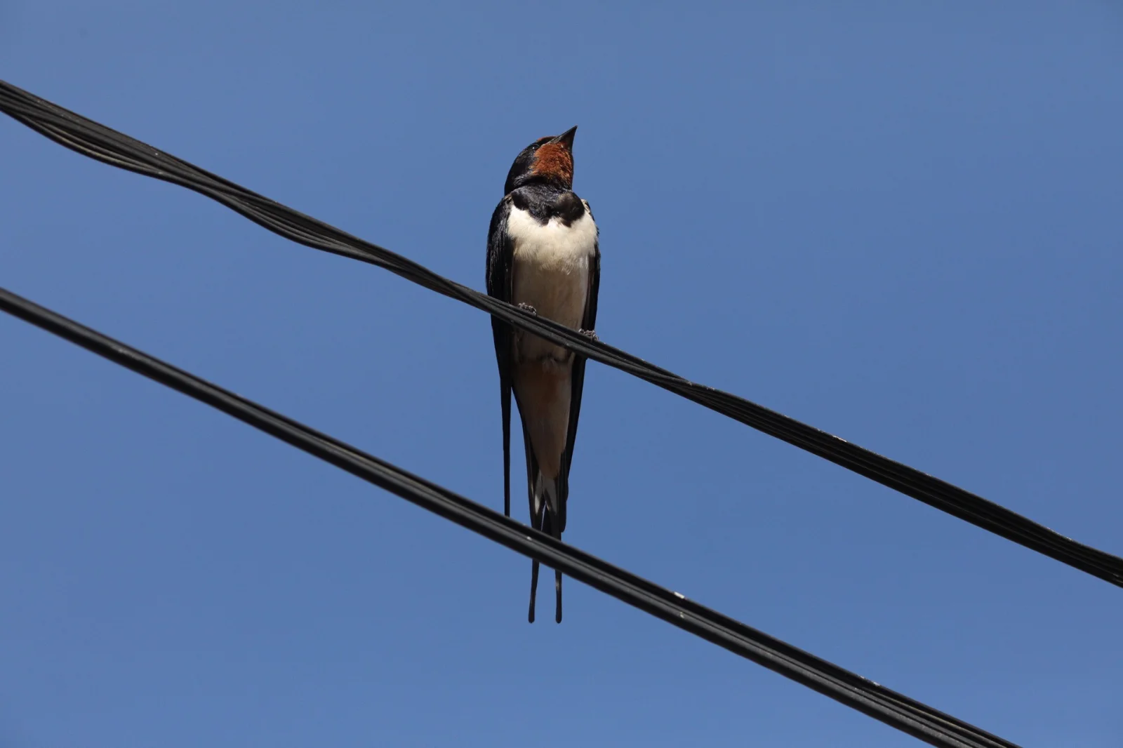6F5A5941.webp