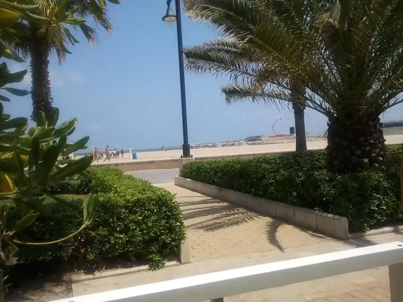 6TYh7.webp