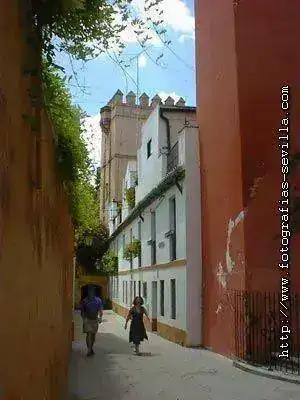7115701.webp