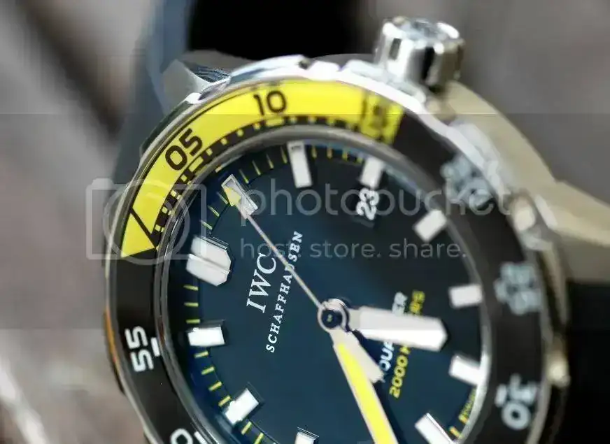 728d314e.webp