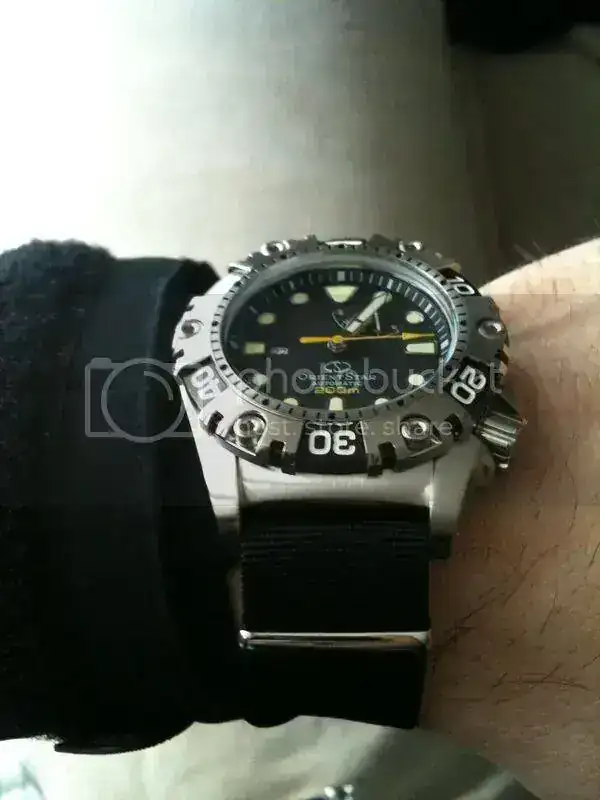 72cca500.webp