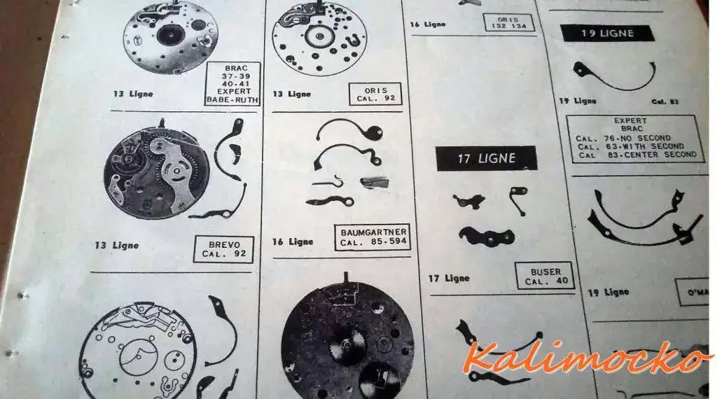 72d19639-3cb3-411a-b006-08aaa5405e09.webp