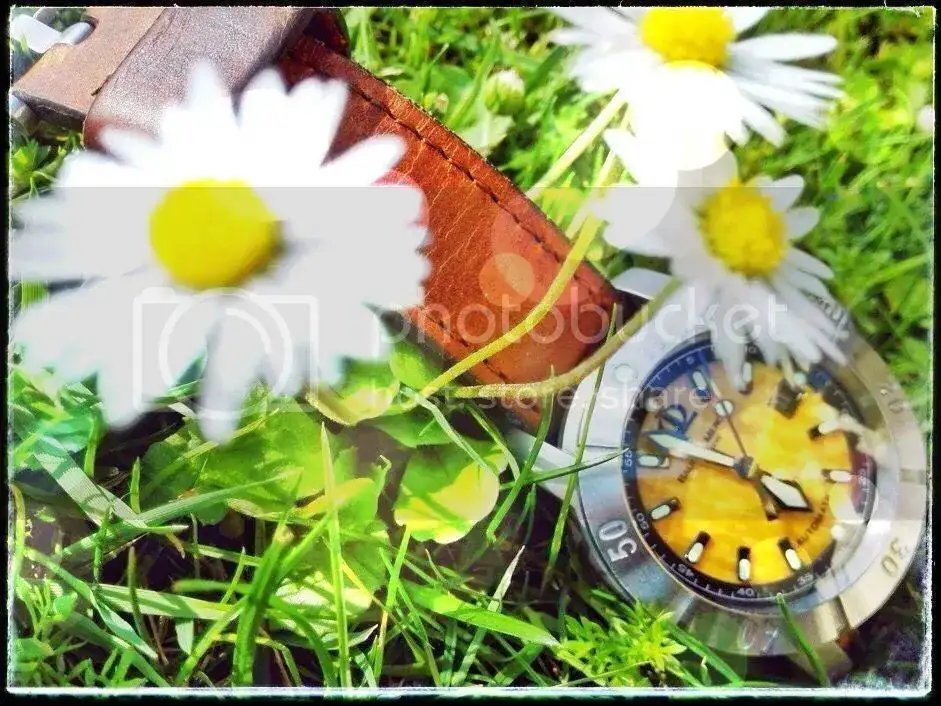 733b904905c1bd169728b16200706f55_zps5b40mkcf.webp