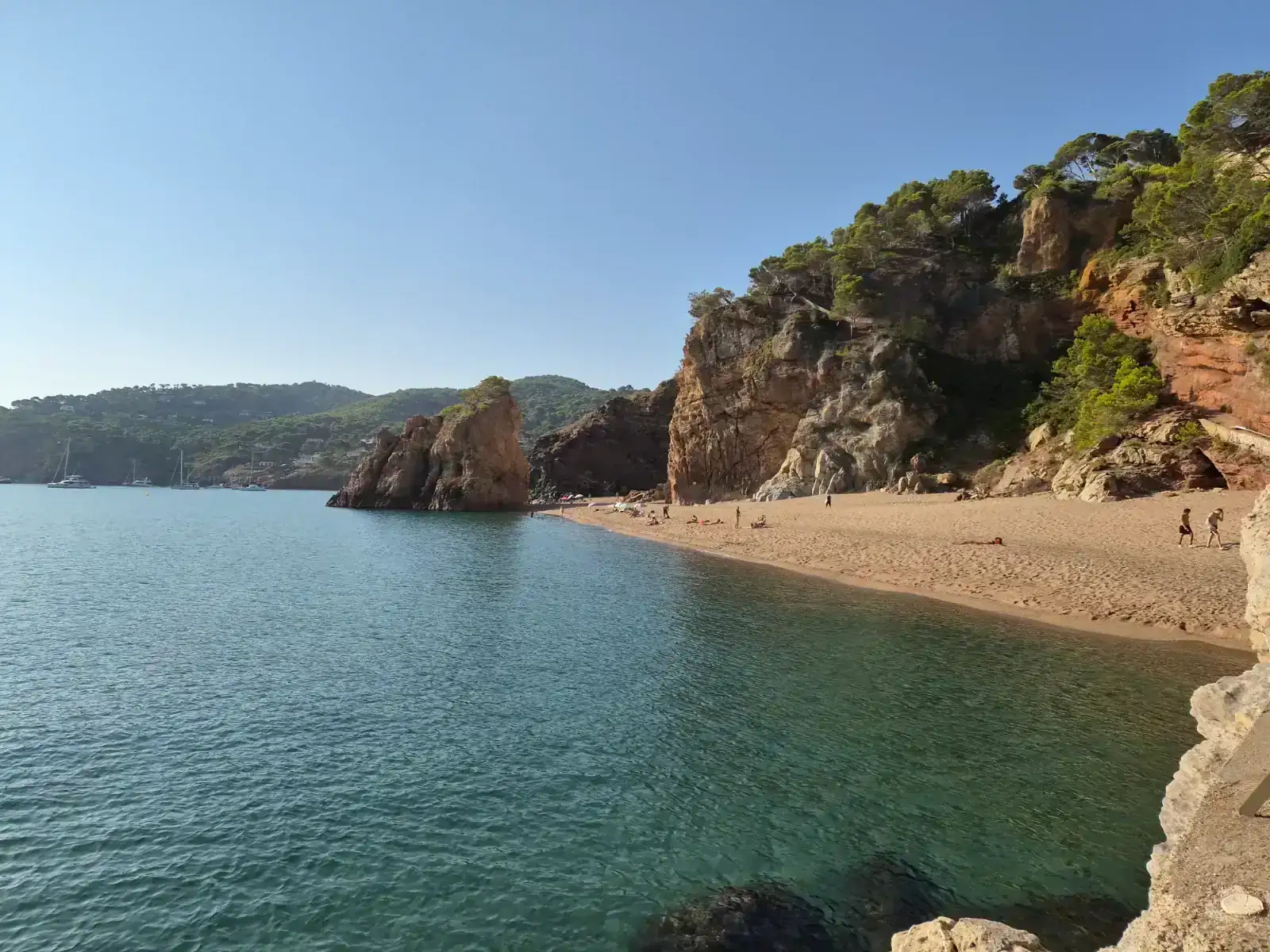 75253.webp