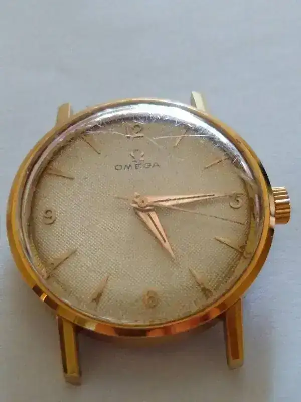 767967754.webp