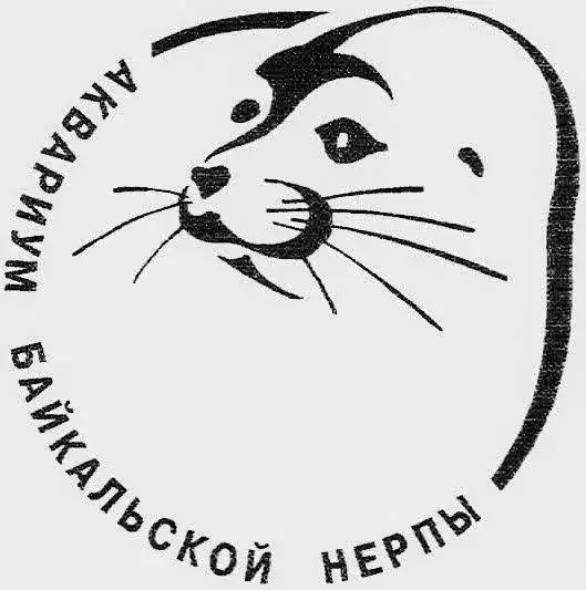 77241b18b26136b8a67919adac2694fe.webp