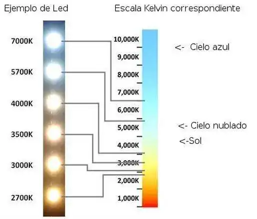 772cefcf4ce7337ae6773345745f8acb.webp
