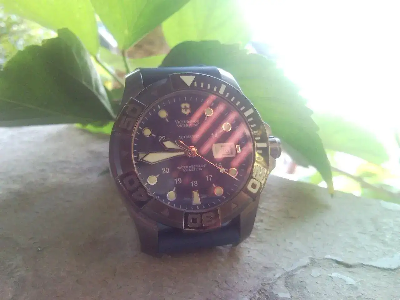 775A3981-D064-4D0C-A6AC-A676C8AC5672.webp