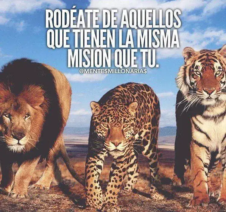 793846a1167bcc65d5712e372b149b01.webp