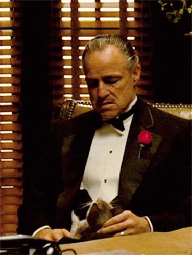 796FBF0E-6D9B-405F-956A-0A9C5E985475.gif