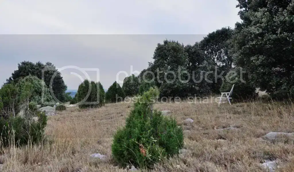 7_zps5ef5e7ca.webp