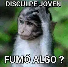 7ba37b34d225816b1343bfe9ecbed143.webp