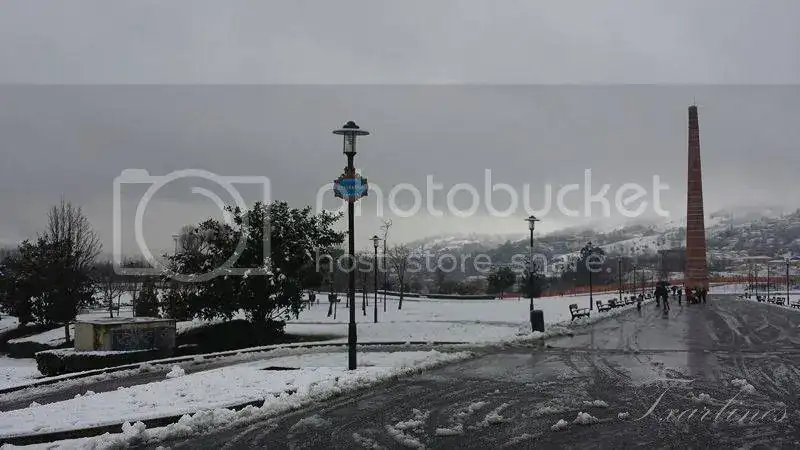 7Copiar_zps0274cbcf.webp
