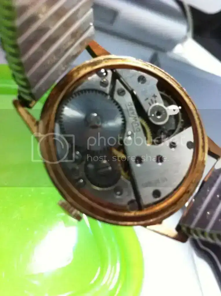 7D933349.webp