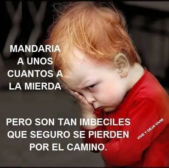 7e72217ef98a3146db65c5b3f9caca03.webp