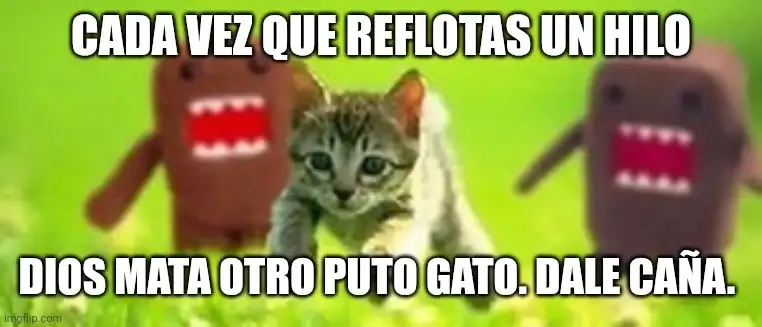 7xg0fv.webp