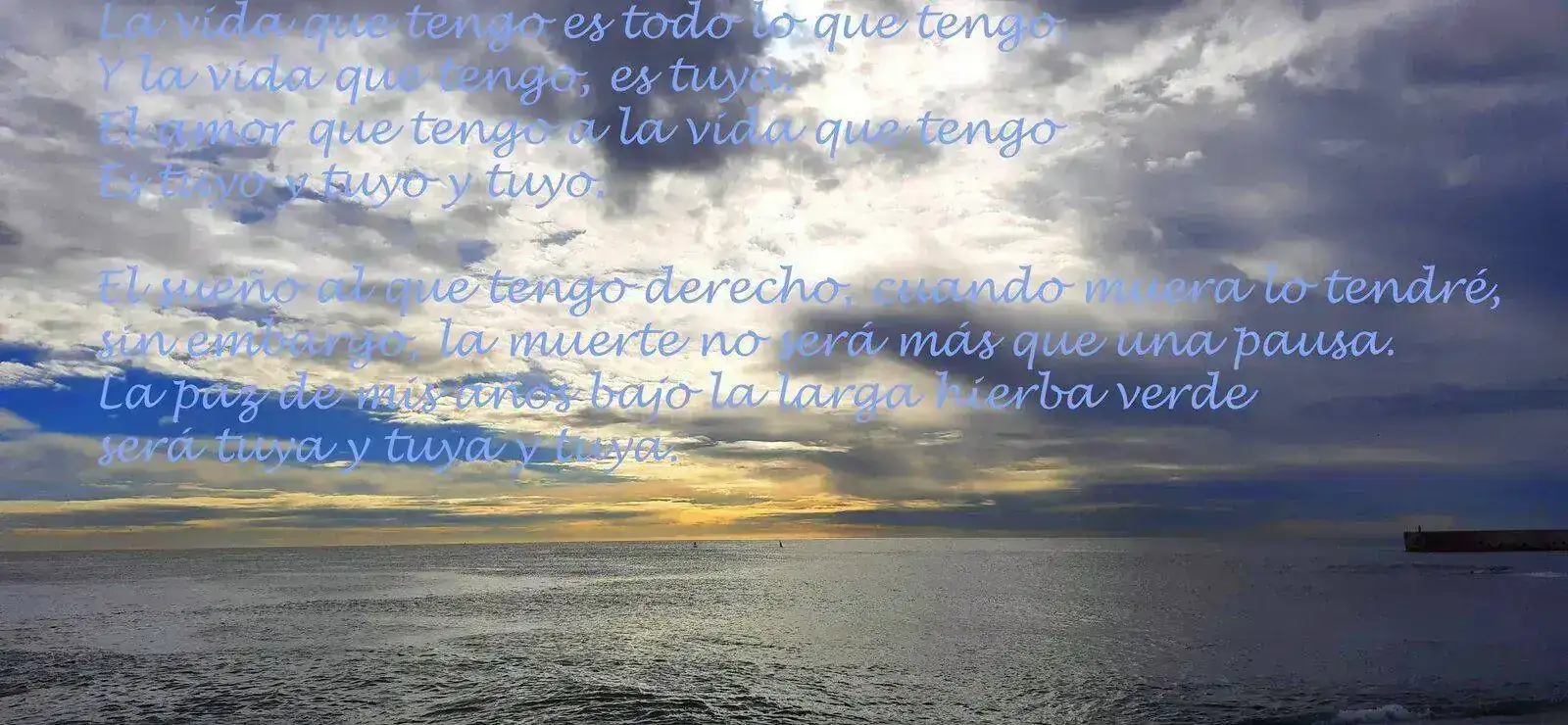 8. copia.webp