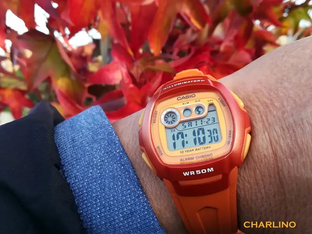 8-IMG-20241123-171017.webp