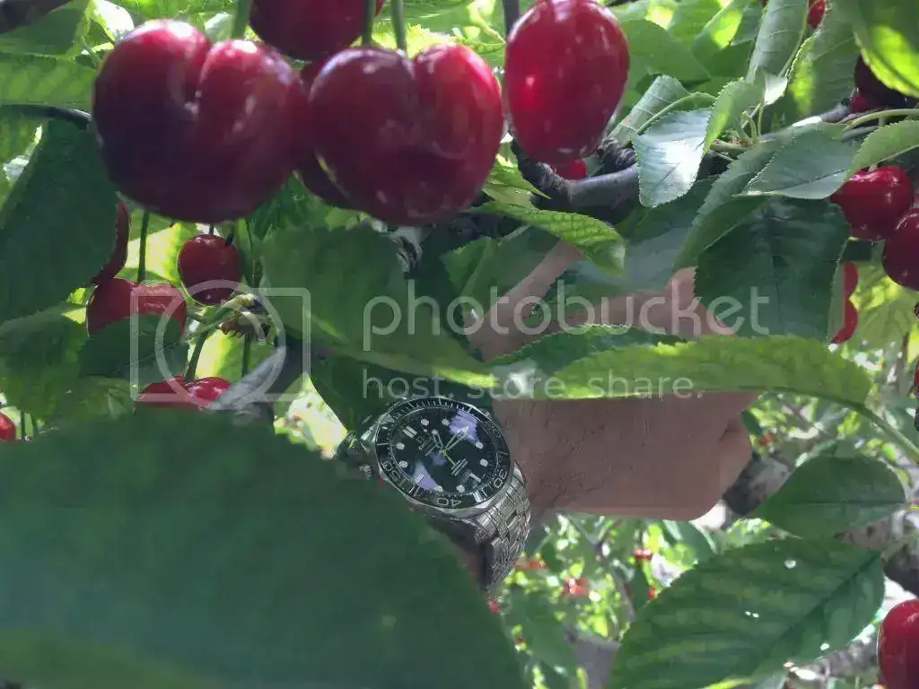80103F8D-3A92-4EE9-A9A7-CD02D48CE259_zpshg4cj7ps.webp