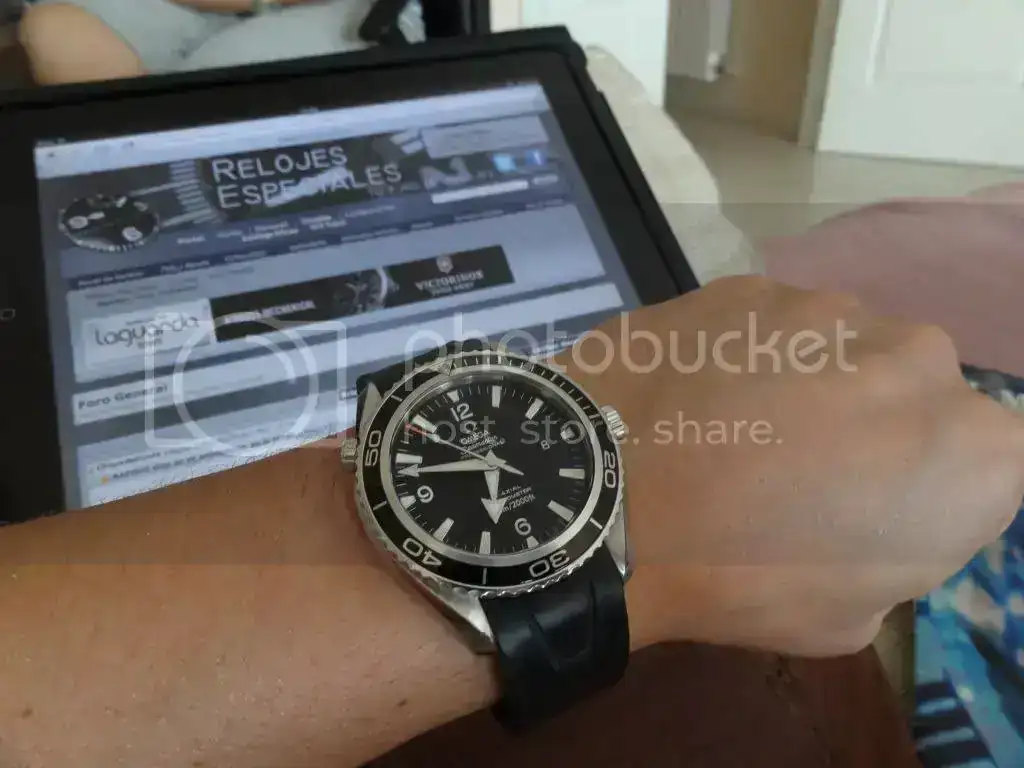 815771ed.webp