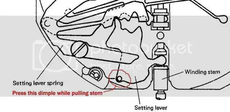 8223StemRelease.webp