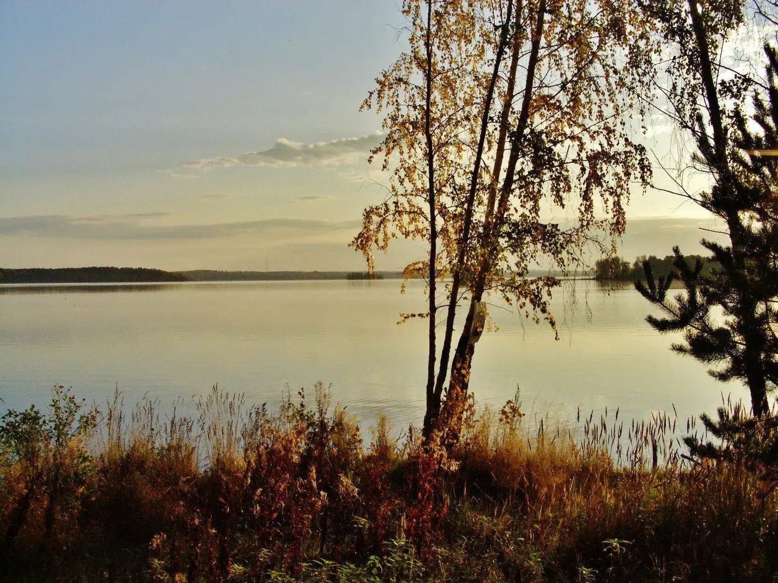 83_full.webp