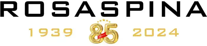 85_Aanni_Gioielleria_Rosaspina_Bergamo_Banner_Sito_9dcabdae-fc0c-4d69-8d3d-98e7a37f5996.webp