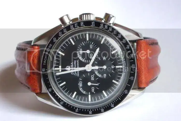 861speedy.webp