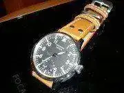 868c79130837534.webp