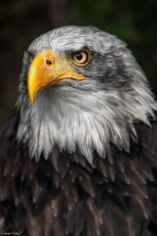 8707980784_295916d734_c.webp